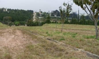 Imagem: Área na Aparecidinha, área comercial industrial