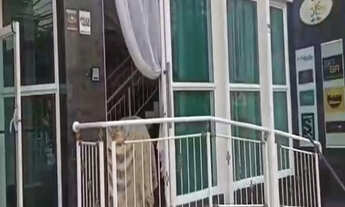 Imagem 5: Imóvel comercial em Sorocaba, prédio na Vila Independência, 2 andares, prédio comercial, 6