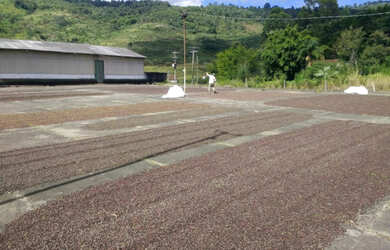 Imagem 4: Sítio em Poços de Caldas-MG, Minas Gerais-MG, aceita permuta, área rural, 27 alqueires min