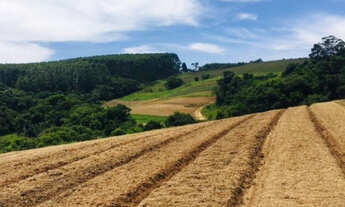 Imagem: Sítio em Piedade-SP com 14 alqueires paulistas