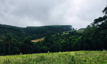 Imagem 4: Sítio em Piedade-SP com 14 alqueires paulistas totais, 2 casas + 1 barracão e amplo terren