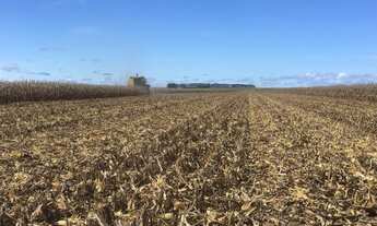 Imagem: Fazenda no interior do Piauí, em Uruçuí-PI