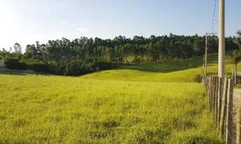 Imagem: Área no bairro Capoavinha em Votorantim-SP