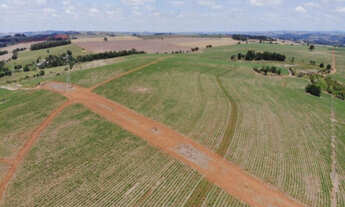 Imagem 5: Fazenda em Tatuí-SP, fazenda no interior do estado de São Paulo, fazenda com 127 alqueires