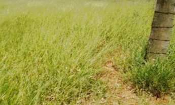 Imagem 5: Área em Araçoiaba da Serra-SP, área no interior de SP, ideal p/ construção condomínio ou i