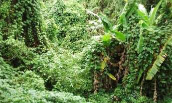 Imagem 5: CHACARA RESIDENCIAL em SOROCABA - SP, JARDIM RODRIGO