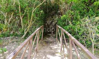 Imagem 3: Bosque das Flores - Venda de casa duplex em Nova Parnamirim, com 4 suítes, condomínio de a