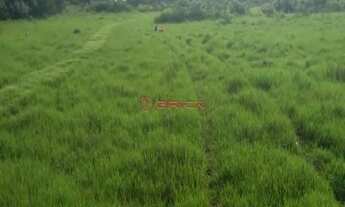 Imagem: Fazenda com 1132,52 hectares na região