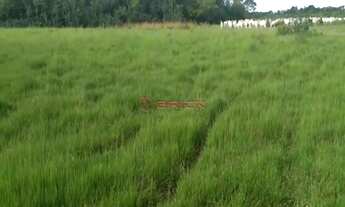 Imagem 2: Fazenda com 1132,52 hectares na região Duere, Tocantins