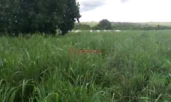 Imagem 5: Fazenda com 1132,52 hectares na região Duere, Tocantins