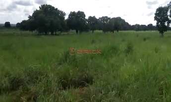 Imagem 6: Fazenda com 1132,52 hectares na região Duere, Tocantins