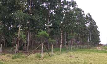 Imagem: VENDO ÁREA COM 30.000 M² PROXIMO AO TREVO