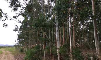 Imagem 7: VENDO ÁREA COM 30.000 M² PROXIMO AO TREVO DE GAROPABA