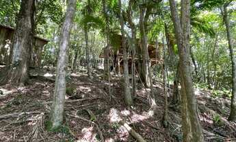 Imagem 6: VENDO TERRENO COM 3.000 M2 NA ENCANTADA EM GAROPABA, PRÓXIMO AO TEMPLO BUDISTA