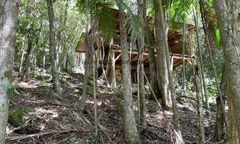 Imagem 5: VENDO TERRENO COM 3.000 M2 NA ENCANTADA EM GAROPABA, PRÓXIMO AO TEMPLO BUDISTA