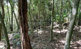 Imagem 3: VENDO TERRENO COM 3.000 M2 NA ENCANTADA EM GAROPABA, PRÓXIMO AO TEMPLO BUDISTA