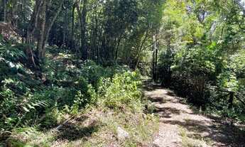 Imagem 7: VENDO TERRENO COM 3.000 M2 NA ENCANTADA EM GAROPABA, PRÓXIMO AO TEMPLO BUDISTA