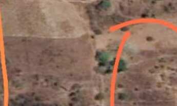 Imagem: SITIO RURAL em PALMEIRA DOS ÍNDIOS - AL