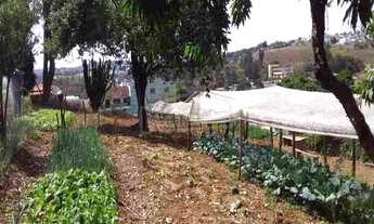 Imagem: SITIO RESIDENCIAL em ITATIBA - SP, JARDIM