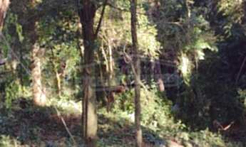 Imagem 3: TERRENO RESIDENCIAL em Itatiba - SP, Engenho Dágua