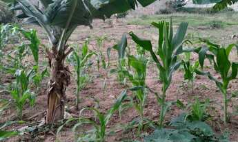 Imagem 2: TERRENO RESIDENCIAL em ITATIBA - SP, NOVA ITATIBA