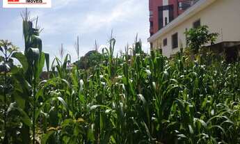Imagem 2: TERRENO EM RUA BEM RESIDENCIAL