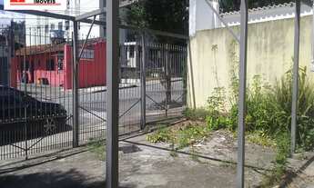 Imagem 2: ÀREA ZEU COM MUITAS OPÇÕES DE NEGÓCIOS..