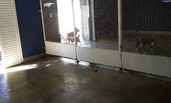 Imagem 6: CASA COMERCIAL em SÃO PAULO - SP, JARDIM LEONOR