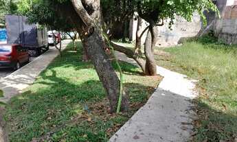 Imagem 6: TERRENO RESIDENCIAL em SÃO PAULO - SP, JARDIM OLYMPIA