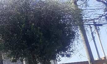 Imagem: SOBRADO REFORMADO IMEDIAÇÕES METRO SP