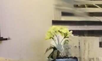 Imagem: CASA RESIDENCIAL em SÃO PAULO - SP, VILA