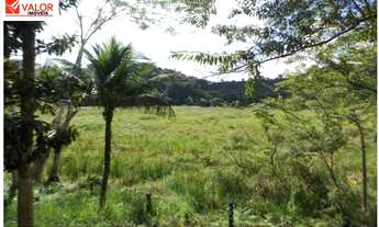 Imagem: SITIO RURAL em JUQUIÁ - SP, ESTRADA DA
