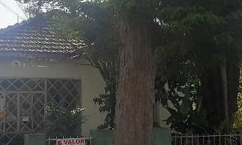 Imagem: TERRENO COM CASA VELHA P/DEMOLIR