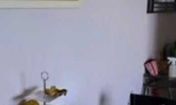 Imagem 4: APARTAMENTO PROXIMO AO PORTAL DO MORUMBI Apartamento no Reserva Morumbi, com amplas opçõe