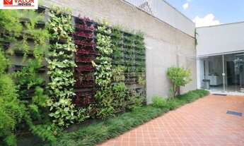 Imagem 3: Magnífica casa recém reformada, com iluminação natural e espaços amplos, localizada em uma