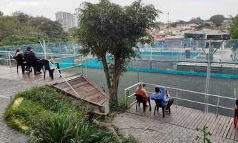 Imagem 3: LOCALIZAÇÃO PRIVILEGIADA ELISEU DE ALMEIDA..