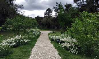 Imagem: TERRENO RESIDENCIAL em SÃO PAULO - SP