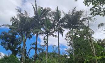 Imagem 2: CHACARA RESIDENCIAL em SÃO PAULO - SP, AMERICANÓPOLIS