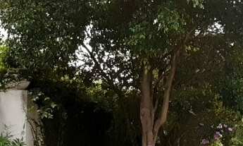 Imagem 3: AMPLO IMÓVEL PARA RES OU COML..