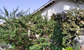 Imagem 3: CASA TÉRREA - JARDIM BONFIGLIOLI