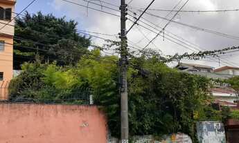 Imagem 4: TERRENO RESIDENCIAL em SÃO PAULO - SP, VILA MORSE
