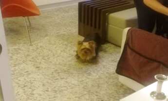 Imagem 5: CASA RESIDENCIAL em SÃO PAULO - SP, ROLINÓPOLIS