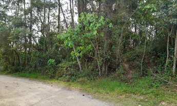 Imagem 7: AREA RESIDENCIAL em EMBU DAS ARTES - SP, INVERNADA