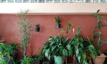 Imagem 3: SOBRADO NAS IMEDIAÇÕES METRÔ DA VL SÔNIA