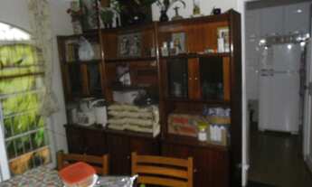 Imagem 5: MORAR EM RUA BEM ARBORIZADA