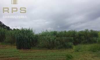 Imagem: Área Industrial ou Comercial para Venda