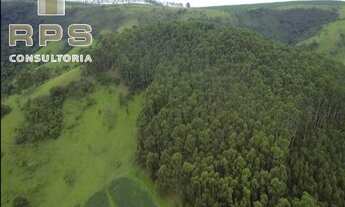Imagem 2: Fazenda Formada na Represa de Furnas - Sul de MG- Várias Aptidões