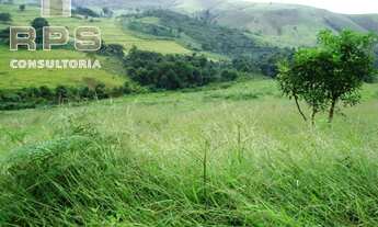 Imagem 7: Fazenda Formada na Represa de Furnas - Sul de MG- Várias Aptidões