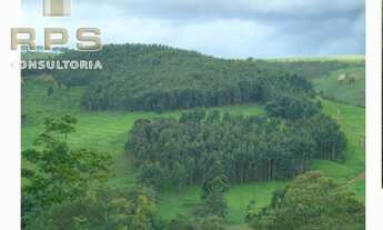 Imagem 3: Fazenda Formada na Represa de Furnas - Sul de MG- Várias Aptidões