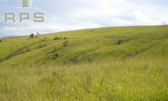 Imagem 5: Fazenda Formada na Represa de Furnas - Sul de MG- Várias Aptidões